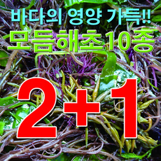 해초샐러드소스