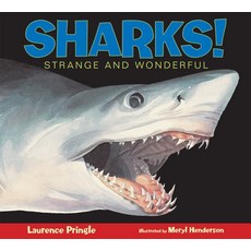 (영문도서) Sharks!: Strange and Wonderful Paperback, Boyds Mills Press, English, 9781590785713