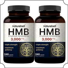 HMB 2팩 3000mg 칼슘추가 총480캡슐 NatureBell, 2개, 240정