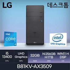 LG 데스크탑 B81KV.AX3509 - HDD 추가 [당일출고], 32GB, SSD 256GB+HDD 1TB, WIN11 Home