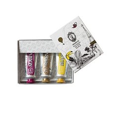 아쿠아디파르마블루메디떼라네오디스커버리세트