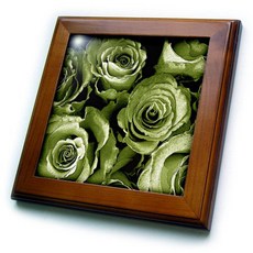 세이지그린타일