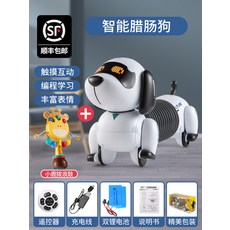 애완로봇ai스마트