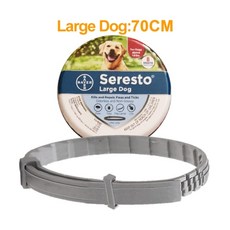 고양이목걸이카메라