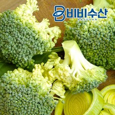 비비수산 마트보다 3배이상 저렴한가격의 부분손질 브로콜리 1kg