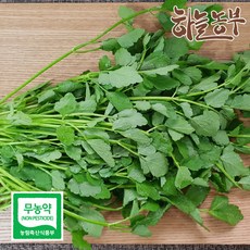 하늘농부 친환경 미나리 200g