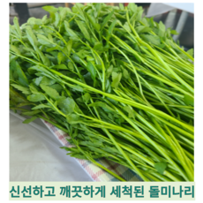 [국내산] 싱싱하고 향긋한 깨끗한 세척된 돌미나리 돌 미나리, 2개, 1kg
