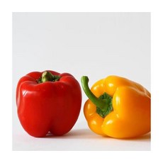 산지직송 가성비 실속형 혼합 파프리카 4kg, ONE COLOR, ONE SIZE