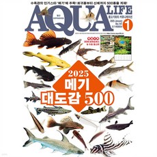 아쿠아 라이프 (2025년 1월호)