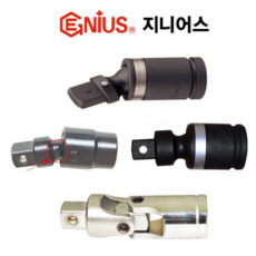 에볼리스지니어스