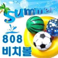 808비치볼