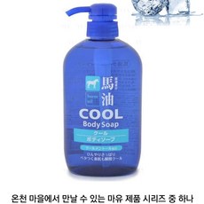쿨링 바디 워시 남자 노인 땀 냄새 제거 약산성 마유 천연 에코 클랜저 등샤워, 마유 쿨 바디워시 600ml (파랑)