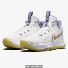 나이키 르브론 위트니스 5 데일리 운동화 농구화 바스켓볼 CQ9380-102 서밋화이트 화이트 라이트지트론 메탈릭브론즈