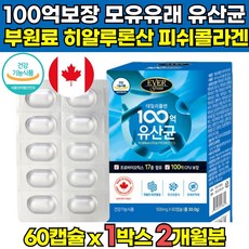 락토바실러스리파인폼