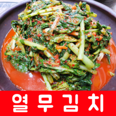 맛사랑식품 열무김치 10kg, 1box