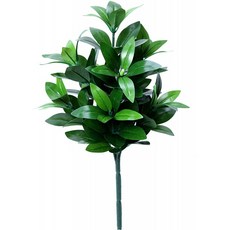 Amazon| 마치 진짜시키미 붓순 나무식조화 35cm 1개 창가 학회 회관 사양광촉매 항균 수화형붕레 방지 전, 1, 단일옵션