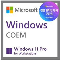 [마이크로소프트] Windows 11 Pro for workstations [한글/COEM(DSP)/64bit/멀티 랭귀지]