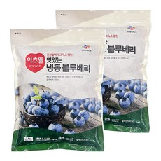 CJ프레시웨이 냉동 블루베리 1kg, 2개 - 브램블베리