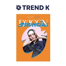 스트레이키즈 디아이콘 디페스타 미니 에디션 STRAY KIDS DICON D'FESTA MINI EDITION 현진 VER. (미개봉)