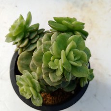 f6de1e0c9b0c60c4c1f6a9f21661371dd6f3cbec94ffe86b0ab252d1a034.jpg