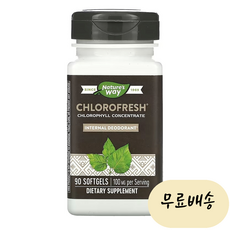 네이쳐스 웨이 클로로프레시 50mg 90정, 1개, 90g, 1개