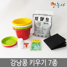 강낭콩키우기 7종 식물키우기 재배키트, 단품