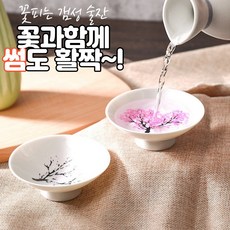 부산대선소주