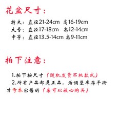 4e85a0276936741bdce01f5d6bee9cdaf11d0528d0452ea9f2fe07626ff3.jpg
