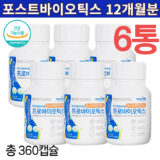 정착약품