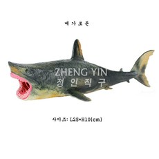 청상아리