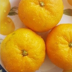 07d391441520526cb09f5e6277d255b76d3db6490ed13417ed5b53df0a64.jpg