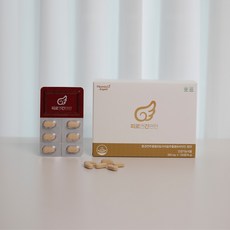 비타민엔젤스 피로엔간편한 밀크시슬 비타민 영양제, 78g, 1개