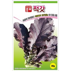 A-적갓 600g 채소 종자, 1개