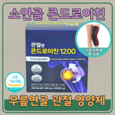 관절엔콘드로이친1200 추천 1등 제품