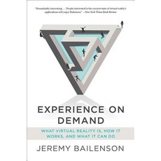 Experience on Demand: What Virtual Reality Is How It Works and What It Can Do Paperback, W. W. Norton & Company