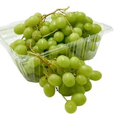 [달님식품] 오톰크리스피 애플 청포도 grape, 오톰크리스피 (1kg 내외) x 1팩, 1개
