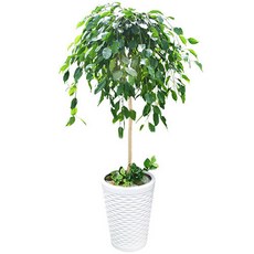 0ff588b2a6aeff35ec8224548ba545146557b7176f7f82fd1eecd4dc2d08.jpg
