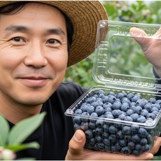 서민갑부 생 블루베리, 1개, 200g(특)