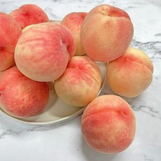 훼마e98프리미엄