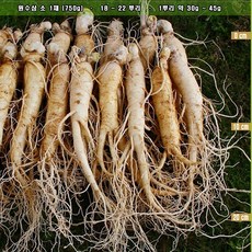 금산인삼주수삼단본720ml43도