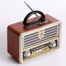 아남레트로스피커