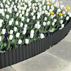 추천10에버랜드튤립축제