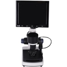 손톱모세혈관현미경