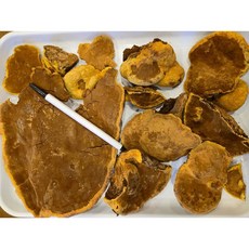 항암 면역력에 좋은 국산 자연산 뽕나무 상황버섯 (뽕상황) 520g - 항암약초 항암식품, 1세트
