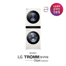 [KT알파쇼핑] LG 워시타워 W21EEZ.AKOR, 1개