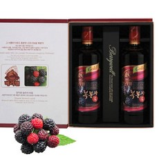 고창 선운산농협 복분자 순액 선물세트 700ml x 2병, 2개