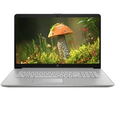 HP 2022 노트북 17s, 17S-cu0016TU, WIN11 Home, 8GB, 256GB, 코어i3, 네추럴 실버