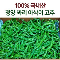 안매운꽈리고추