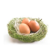 늘바름 무항생제 안심 구운계란120구(4판), 120구, 33g