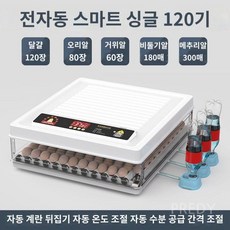 병아리부화기 가정용 계란 알 닭 오리 조류 메추리 소형 자동 달걀, 1개